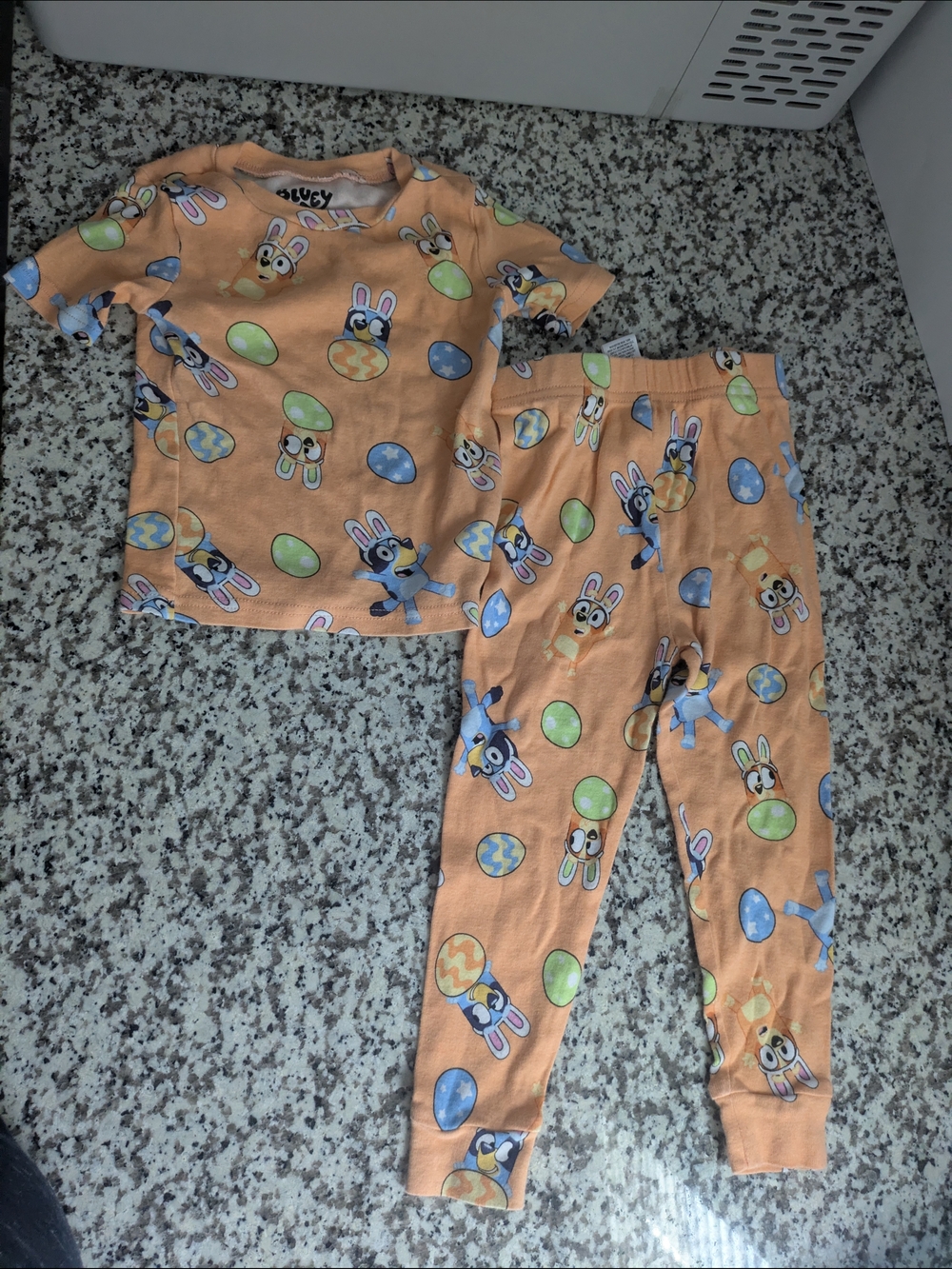 4t And 6 Bluey Pjs